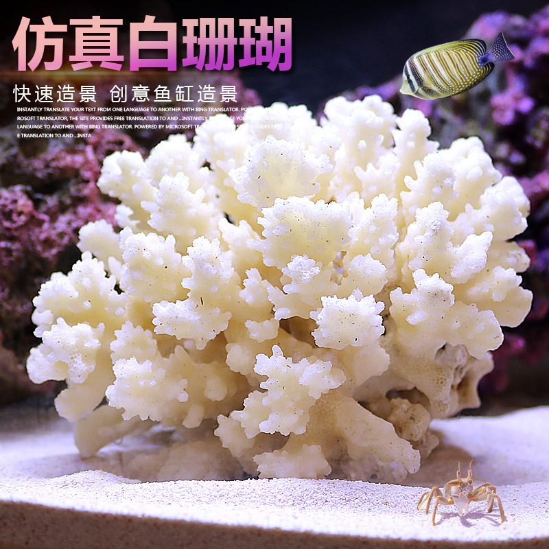 Marine Aquarium Epoxy - مجموعة تنسيق حوض السمك الصغير بأشجار