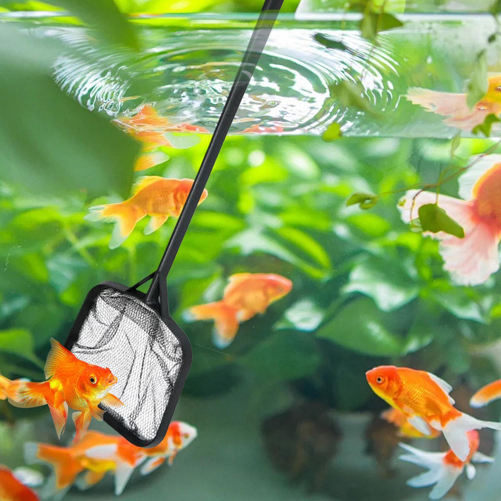 شبكات تنظيف حمامات السباحة، شب - مراجعة Marine Aquarium وسعره