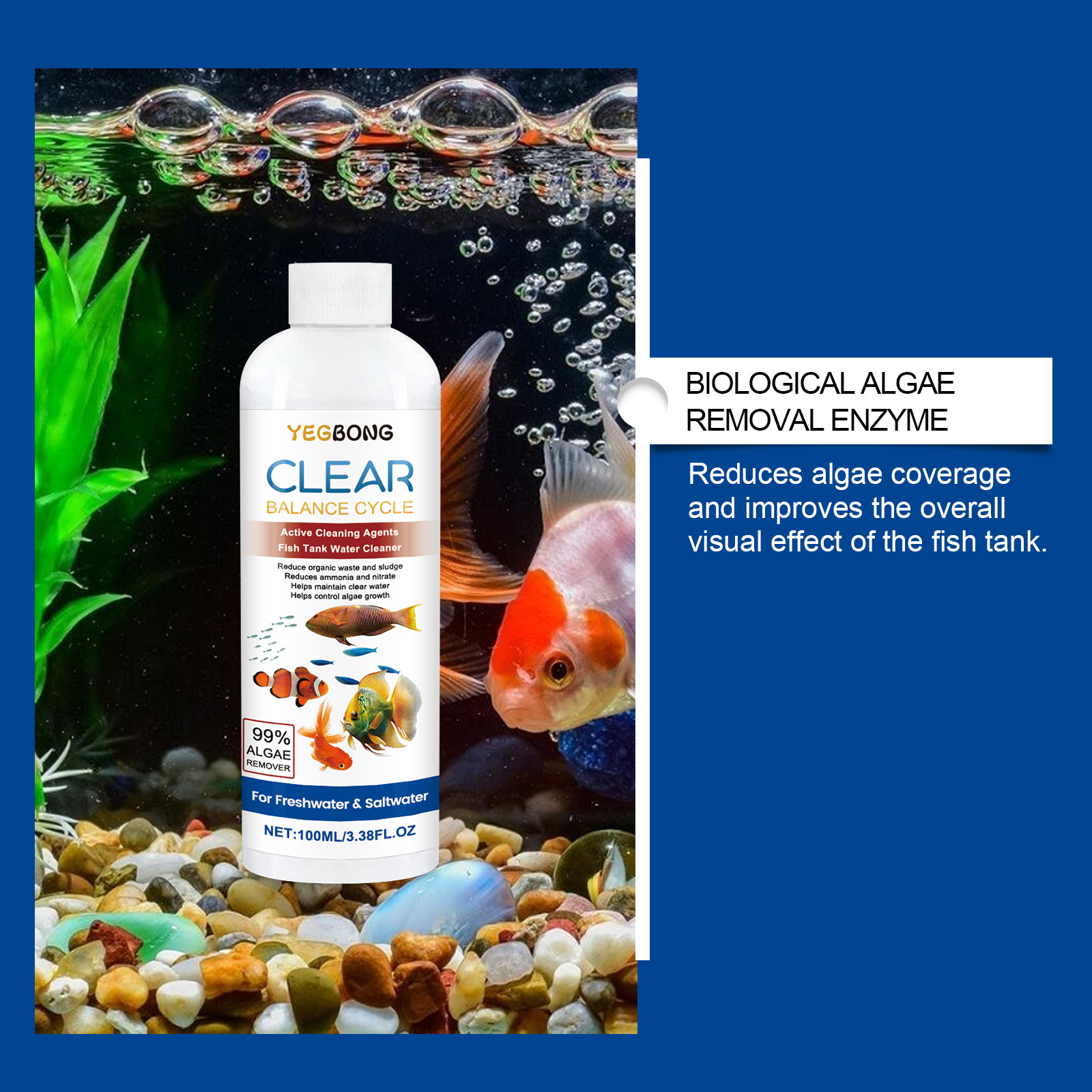 حوض السمك المياه توضيح 100 ملل - مراجعة Saltwater Tank وسعره