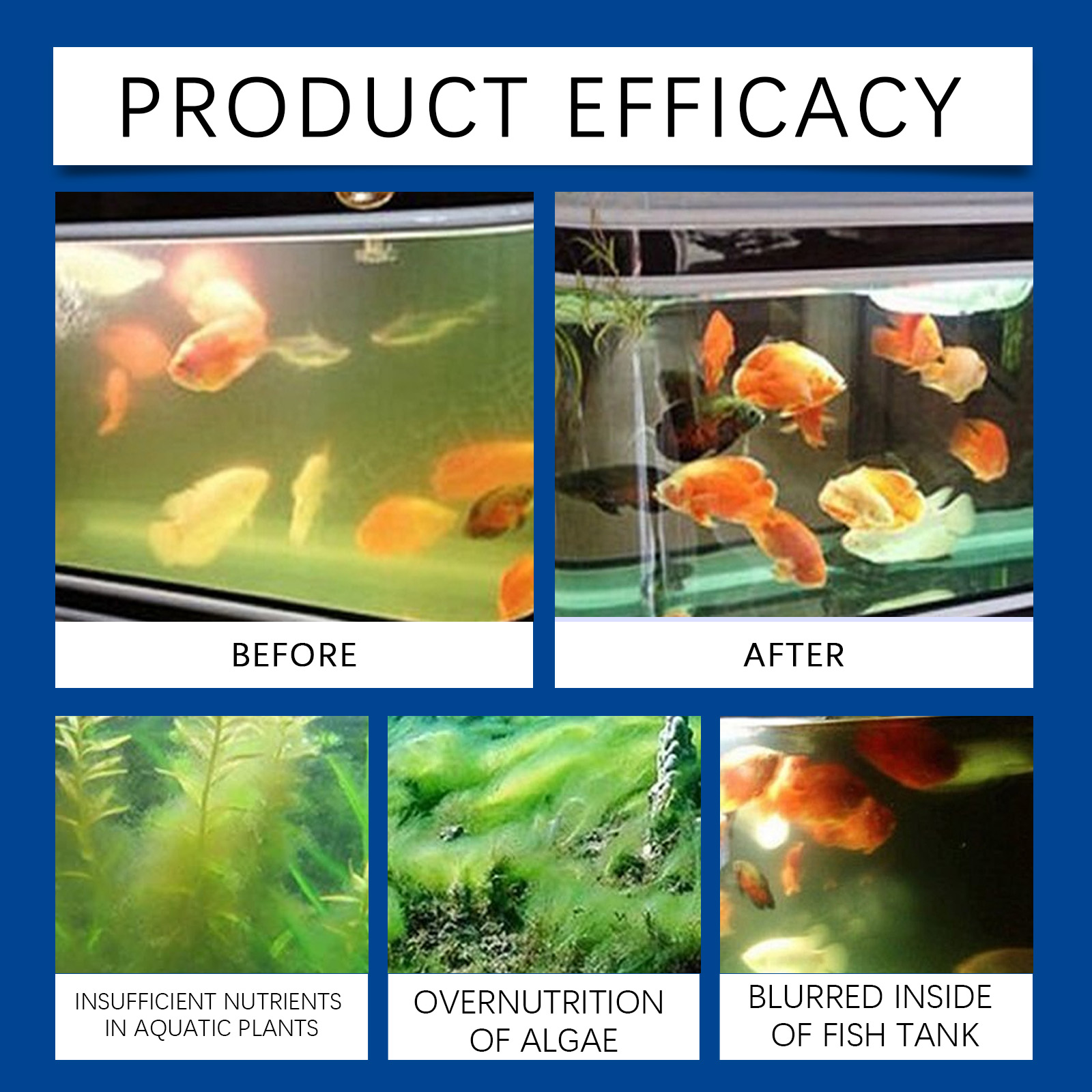 حوض السمك المياه توضيح 100 ملل - مراجعة Saltwater Tank وسعره
