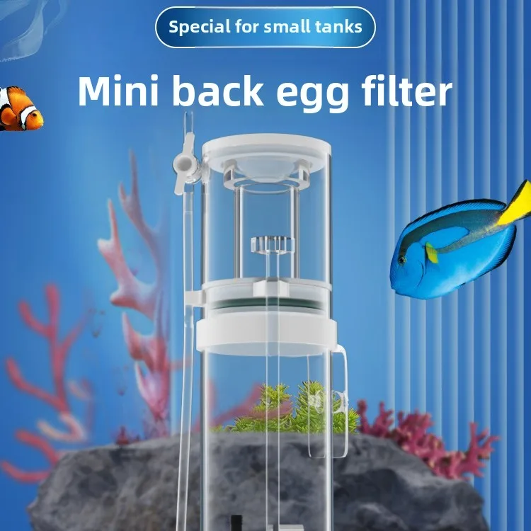 فاصل بروتين جديد صغير للأحواض  - مراجعة Reef Tank Filter وسعره