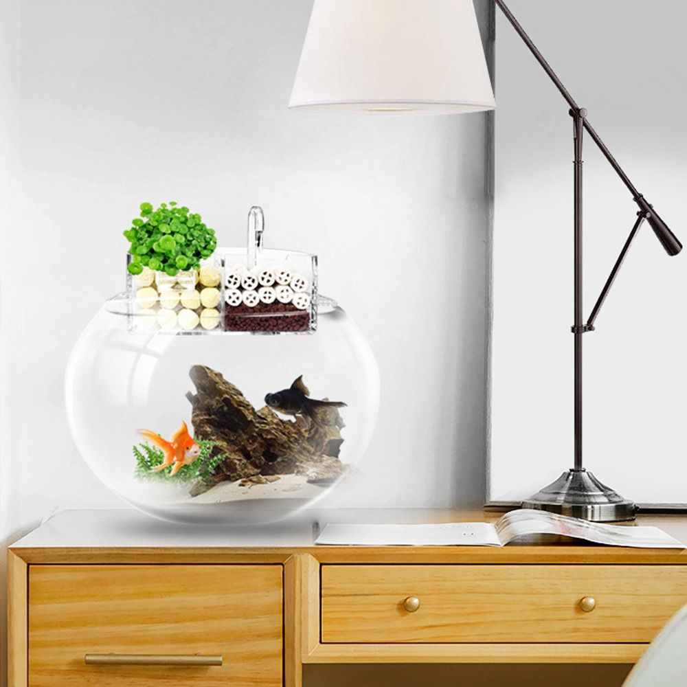 صندوق فلتر خارجي 3 في 1 من الن - مراجعة Reef Tank Filter وسعره
