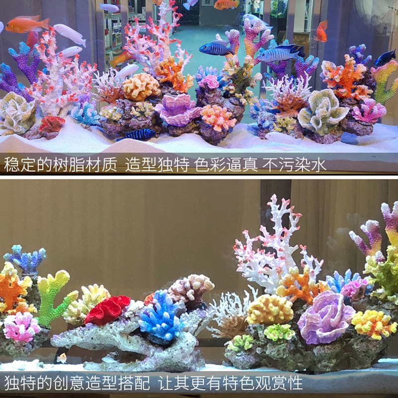 مجموعة تنسيق حوض السمك الصغير  - مراجعة Marine Aquarium Epoxy وسعره