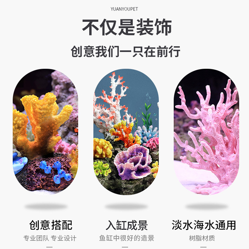 مجموعة تنسيق حوض السمك الصغير  - مراجعة Marine Aquarium Epoxy وسعره