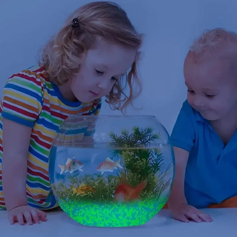 1000 قطعة 3-5 مللي متر مضيئة ا - مراجعة Marine Fish Tank وسعره