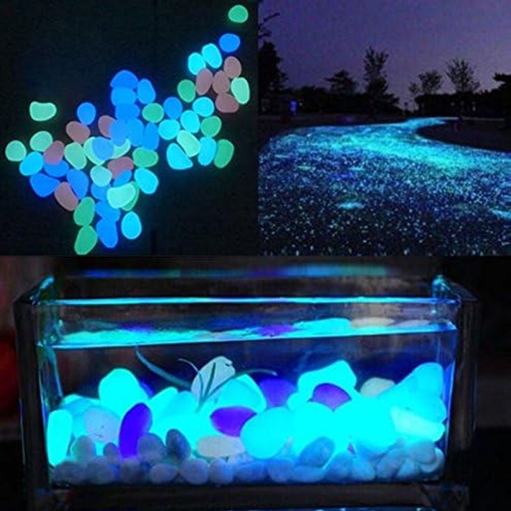 حوض السمك الصخور توهج الحصى ال - مراجعة Ocean Aquarium وسعره