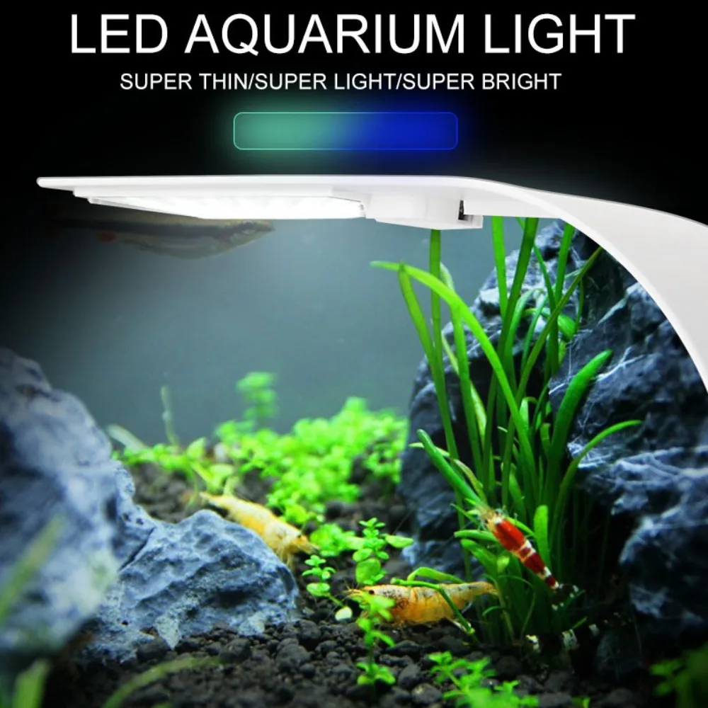 5 واط مصباح حوض السمك LED صغير - مراجعة Reef Lighting وسعره