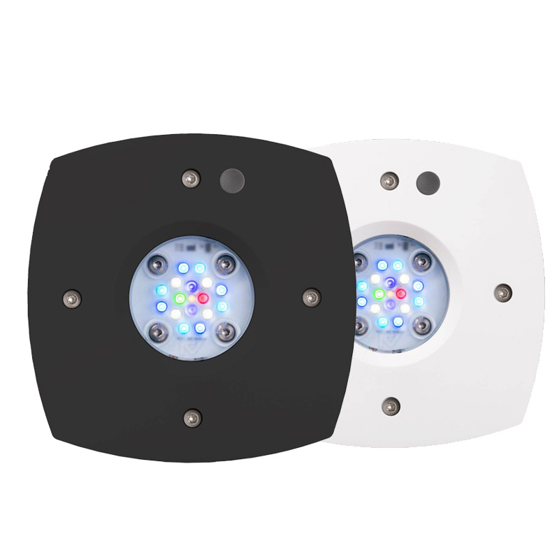 مصباح الشعاب المرجانية LED عال - مراجعة Reef Lighting وسعره