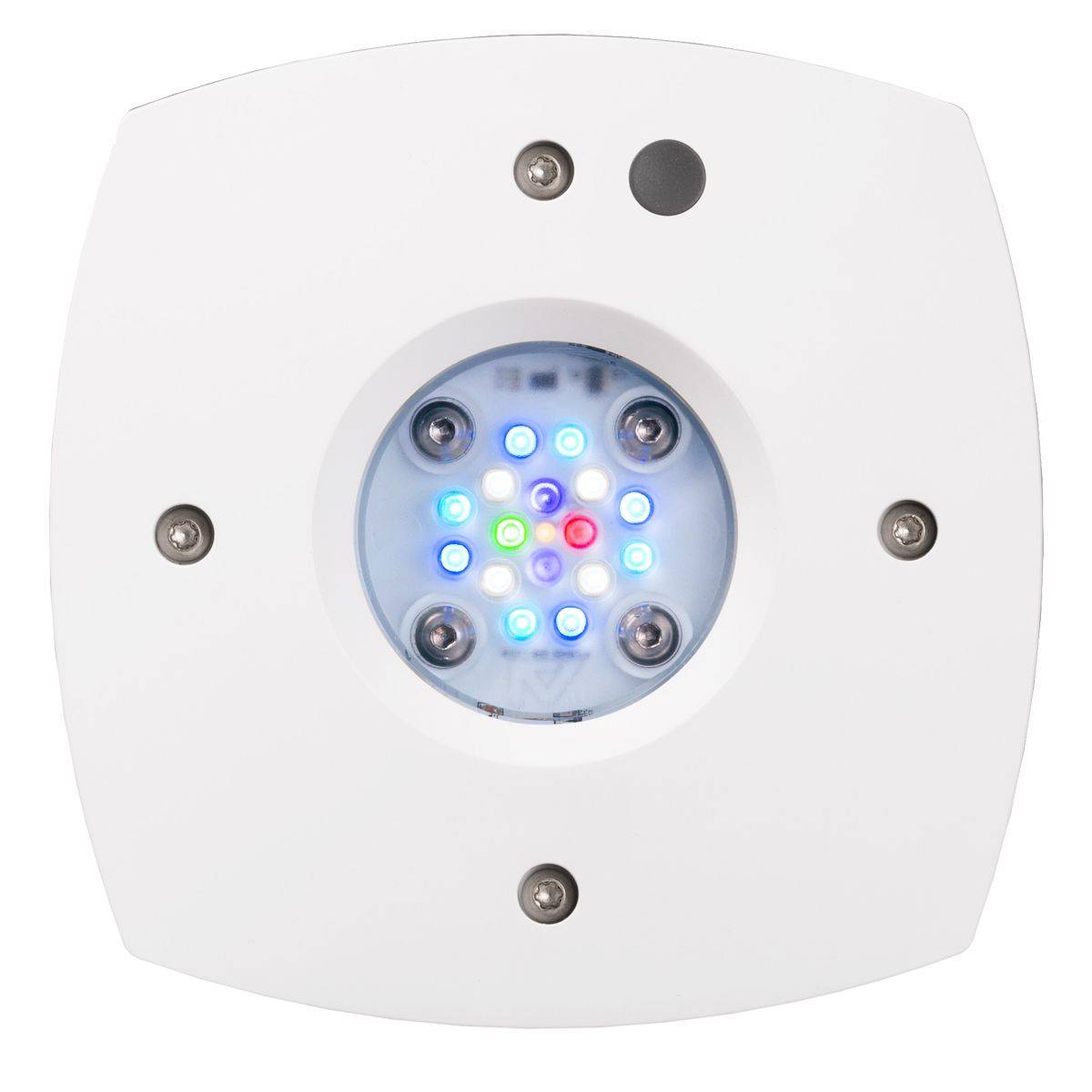 مصباح الشعاب المرجانية LED عال - مراجعة Reef Lighting وسعره