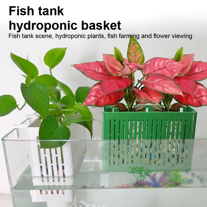 حامل نباتات مائية معلق لحوض ال - مراجعة Marine Aquarium وسعره